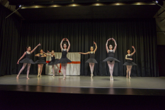dsc_6493-1