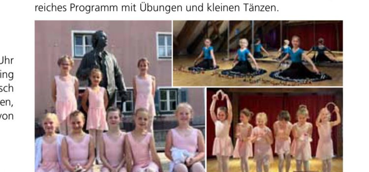 Berchinger Mitteilungsblatt – Juni 2026
